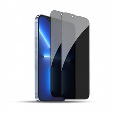 2x Panzerfolie Blickschutz